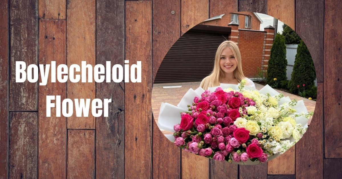 Boylecheloid Flower: History, Symbolism, Care, And Secrets Of Nature's Rarest Bloom